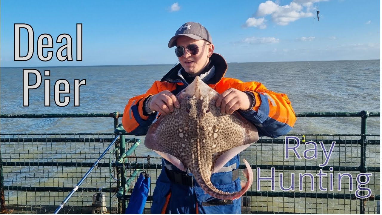 Fishing Deal Pier: Ray Hunting