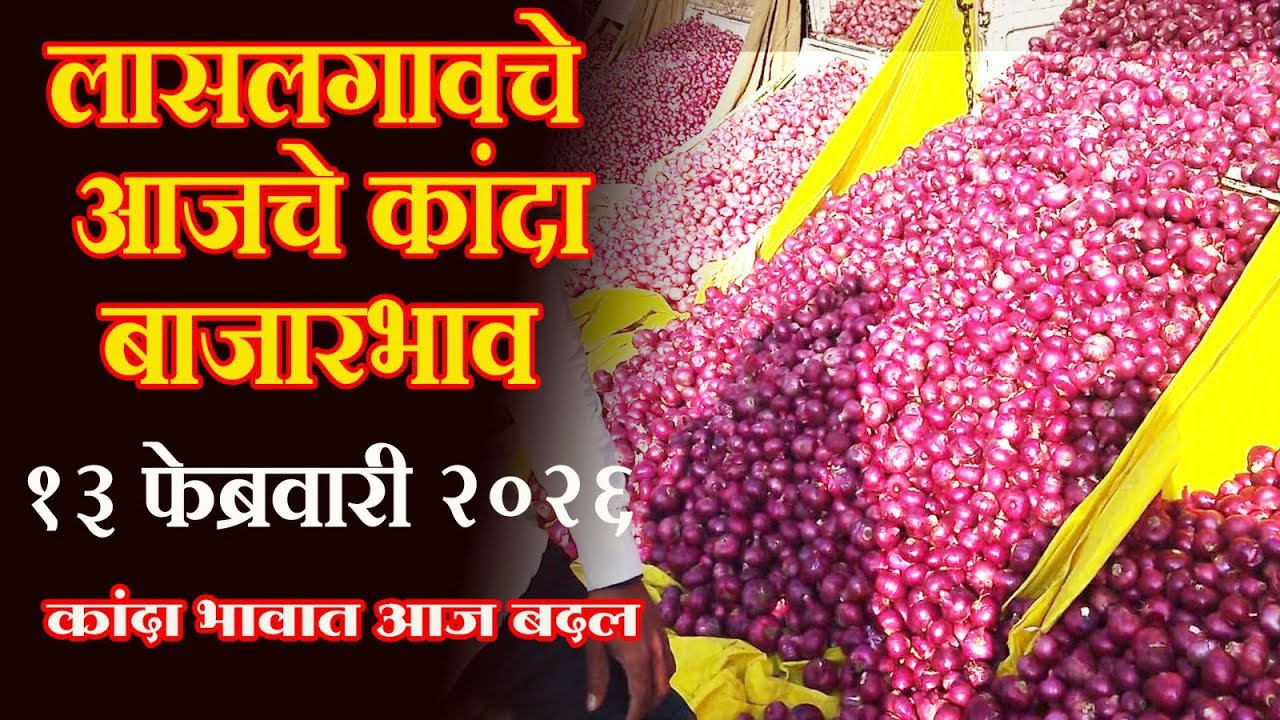 लासलगाव बाजार समिती आजचे कांदा बाजारभाव Lasalgaon Onion Market Rate Today 13 फेब्रुवारी 2026