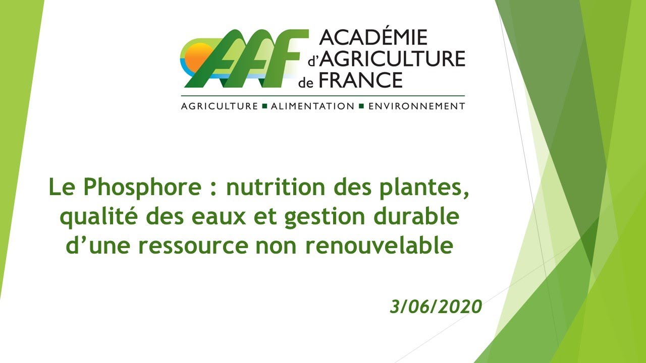 3/6/2020 :  Phosphore : nutrition des plantes, qualit&eacute; des eaux et gestion durable