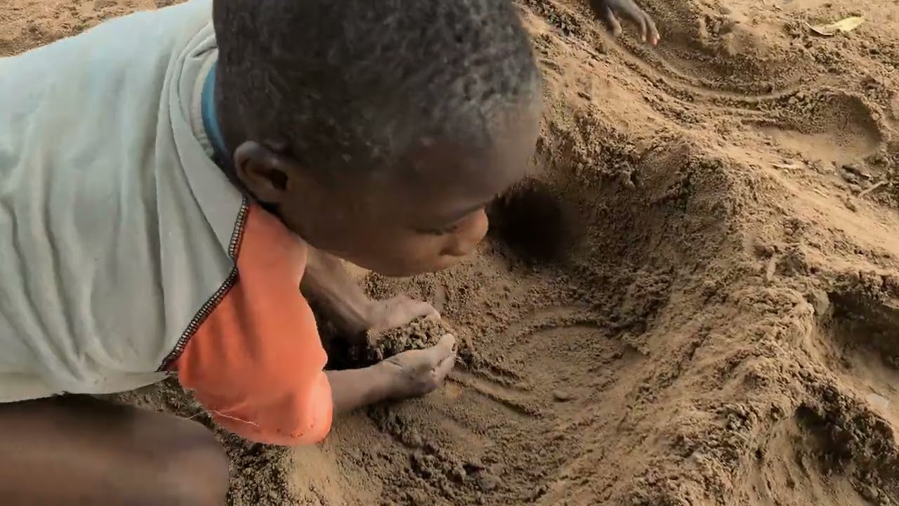 Les Petits Bâtisseurs de Ziki ( Studio Gb )