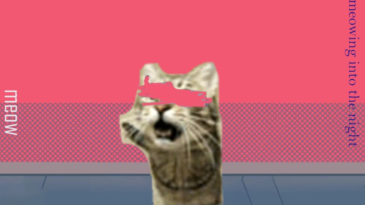 Racing into the night but it's the cats singing the lyrics