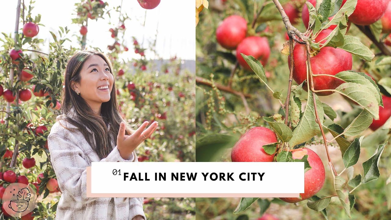 Fall in New York City 🍂 Vlog | Apple Picking, Work Day BTS, Baking, Outdoor Workouts
