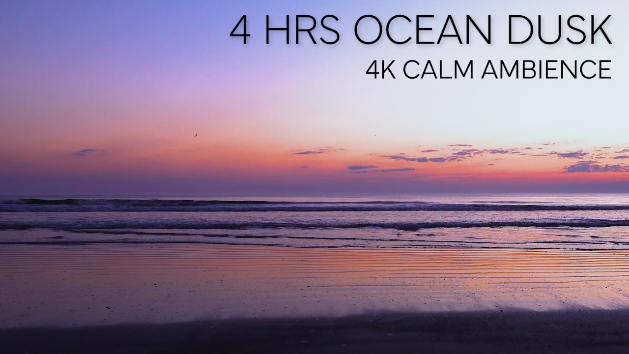 Calm and relaxing 4HR low tide pre-dawn video  -- 4K