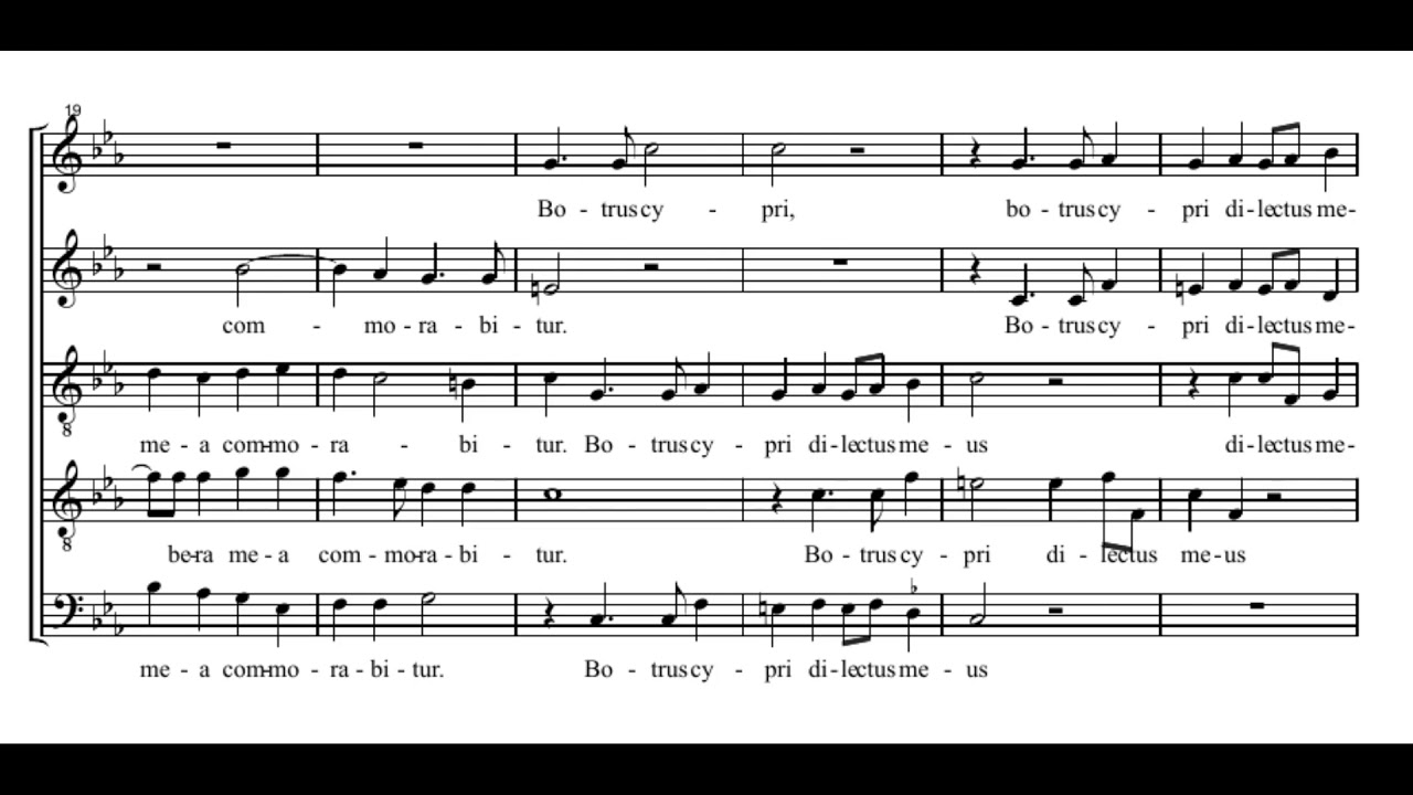 Palestrina: Fasciculus myrrhae - Sixteen