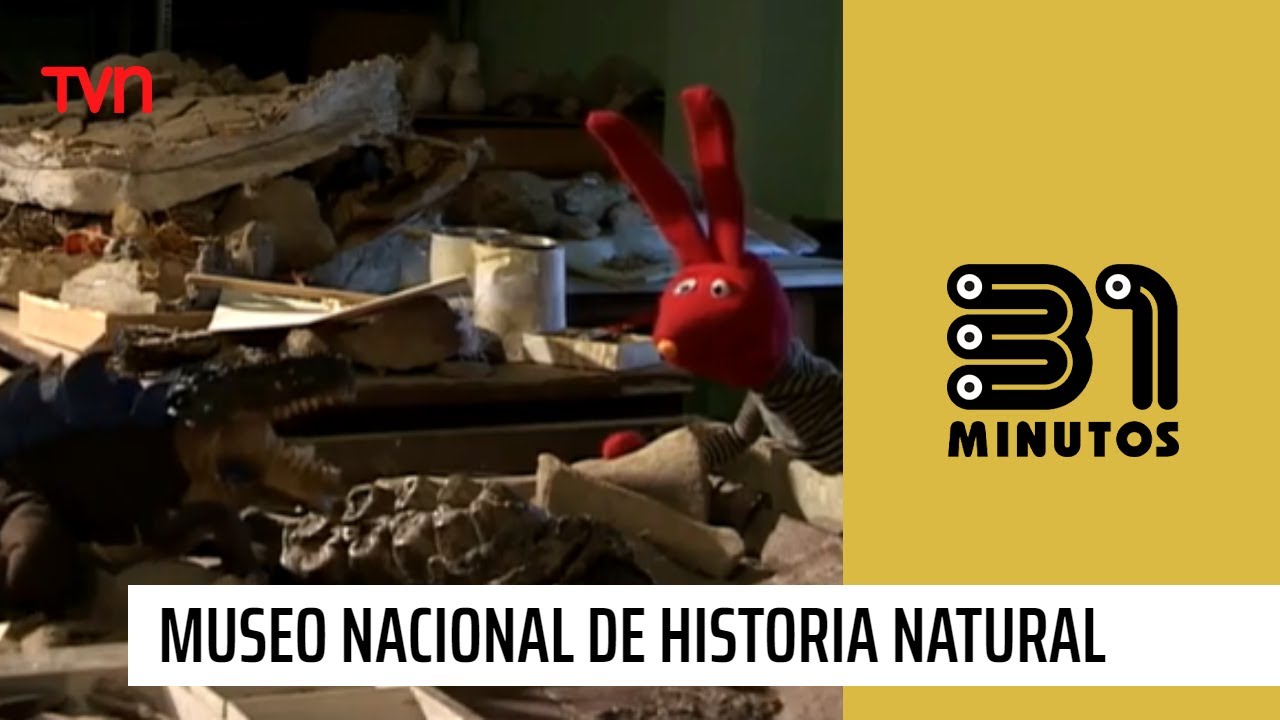 Nota verde: Museo Nacional de Historia Natural | 31 Minutos