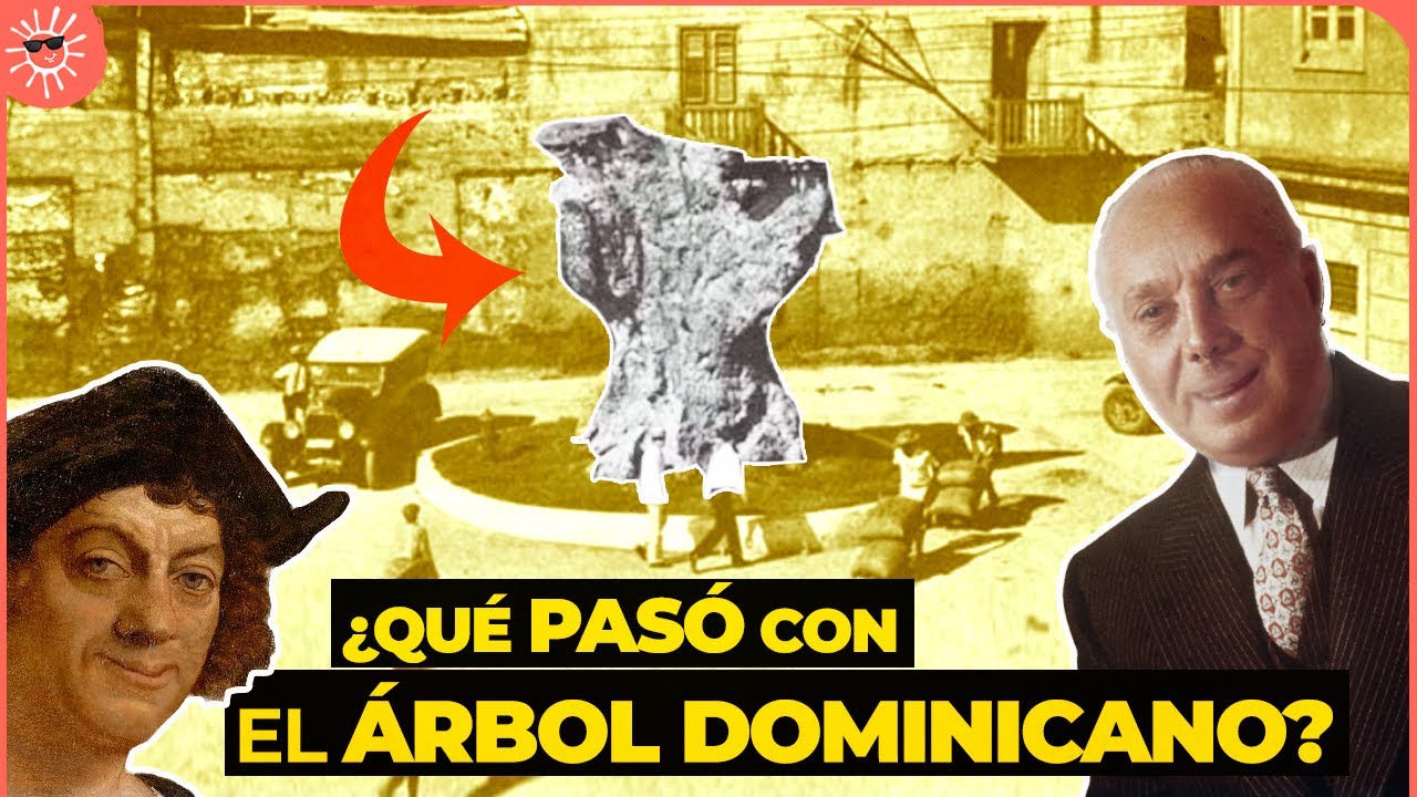 De Colón a Trujillo: POR QUÉ ESTE ÁRBOL ERA TAN IMPORTANTE PARA LOS DOMINICANOS (la Ceiba de Colón)
