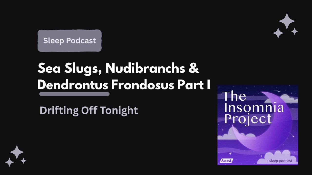 Sea Slugs, Nudibranchs & Dendronotus Frondosus Part I