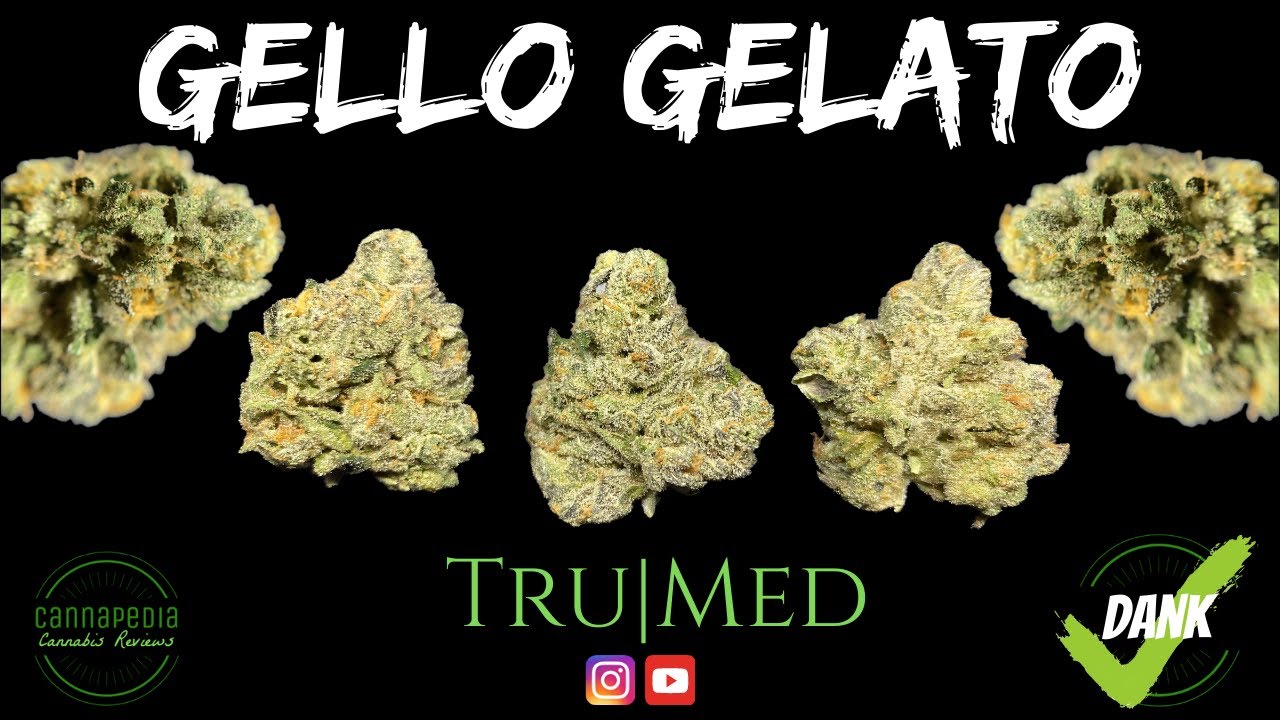 Gello Gelato Strain Review - Tru|Med - Cannapedia
