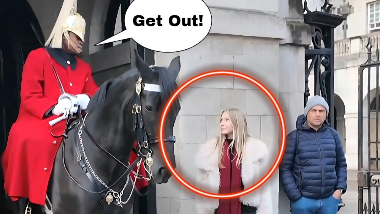 Trespassing! King's Guard's immediate response as young tourist crossed the boundaries!