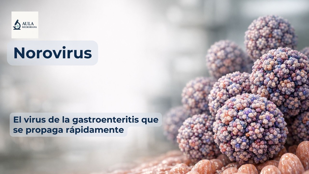 Norovirus