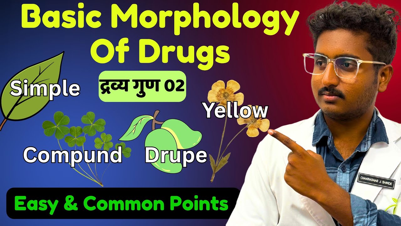 Basic Morphology Of Drugs - Common Points |  Easy Tips & Tricks | Dravya Guna 02 - BAMS Second Year