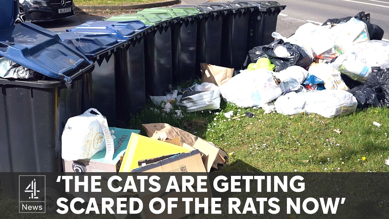 Birmingham bin strike continues as union rejects deal