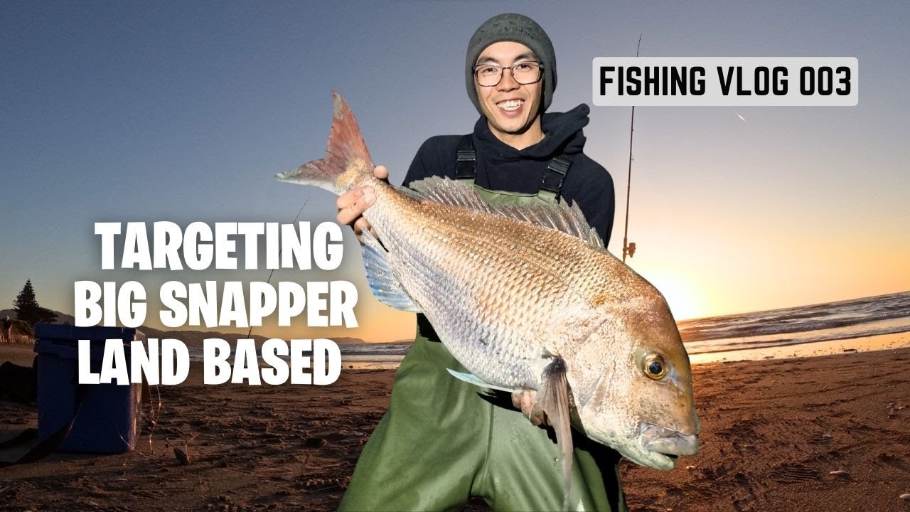 Afternoon Mission For Big Snapper Surfcasting Off The West Coast| Land Based, Wellington, NZ