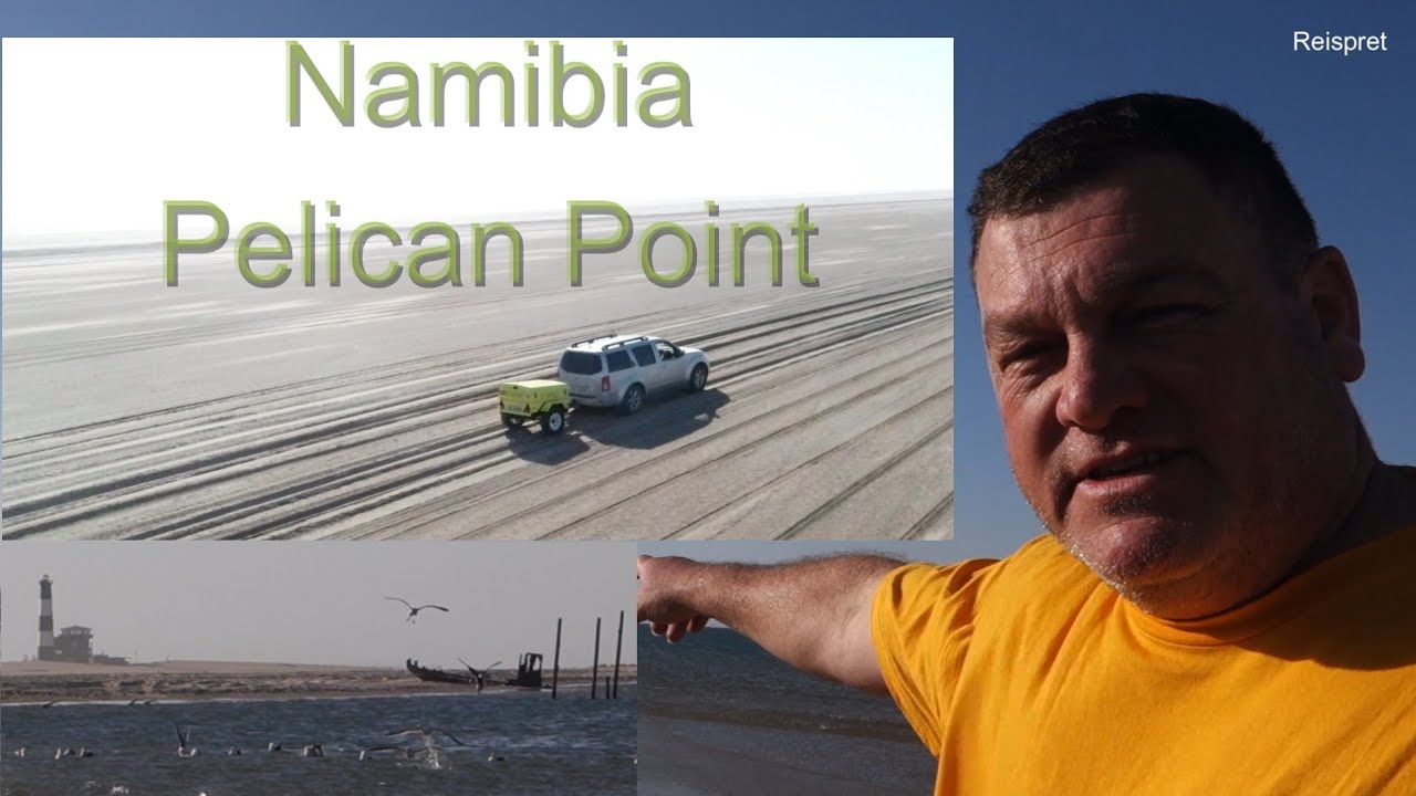 Namibia 2024 Walvis Bay Pelican Point