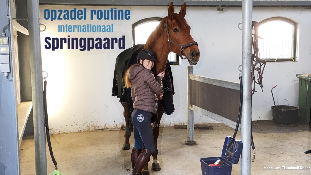Internationaal springpaard OPZADELEN | Extra video