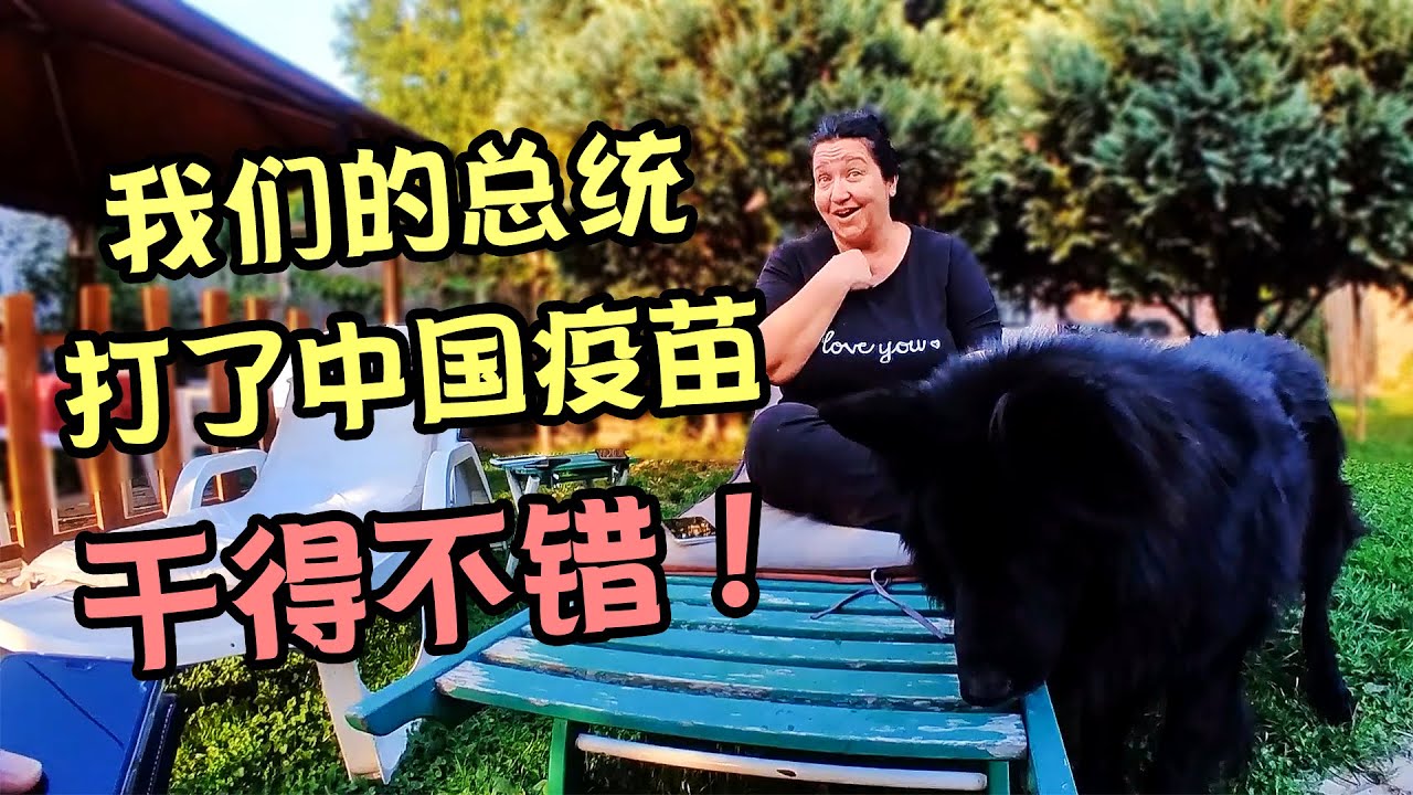 入住塞尔维亚家庭民宿，房东聊到中国疫苗，夸总统武契奇干得漂亮