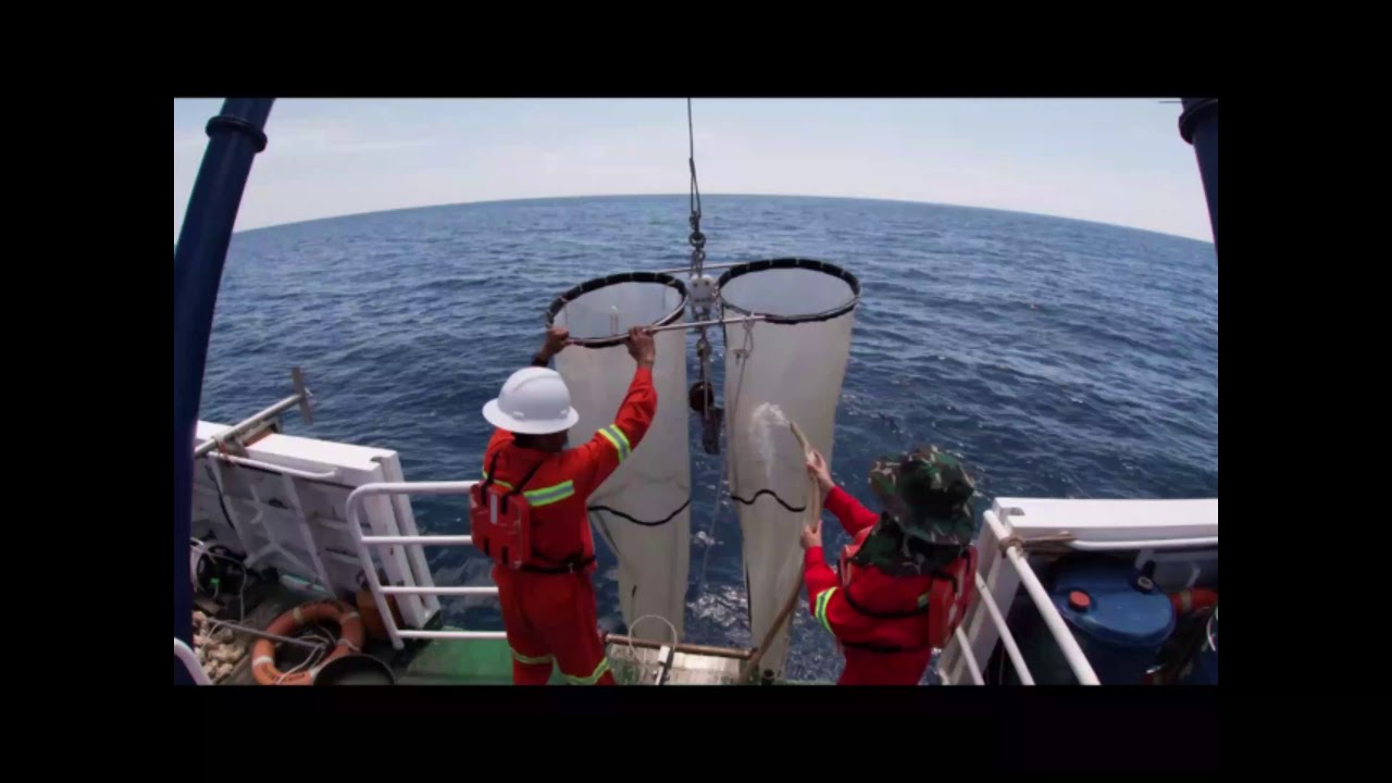 GROUP 20 : HOW TO USE BONGO NET (for plankton sampling)
