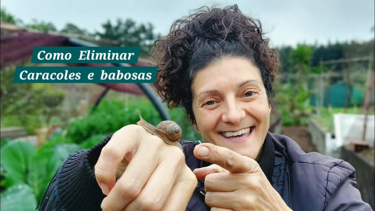 COMO ACABAR CON CARACOLES E BABOSAS NA HORTA E XARDÍN.   (ecolóxico e sin costes)  🐌 || {NUSKA}