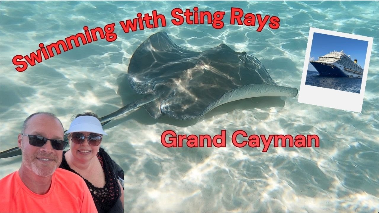 Grand Cayman | Swimming with Stingrays | Carnival Venezia Feb 2025