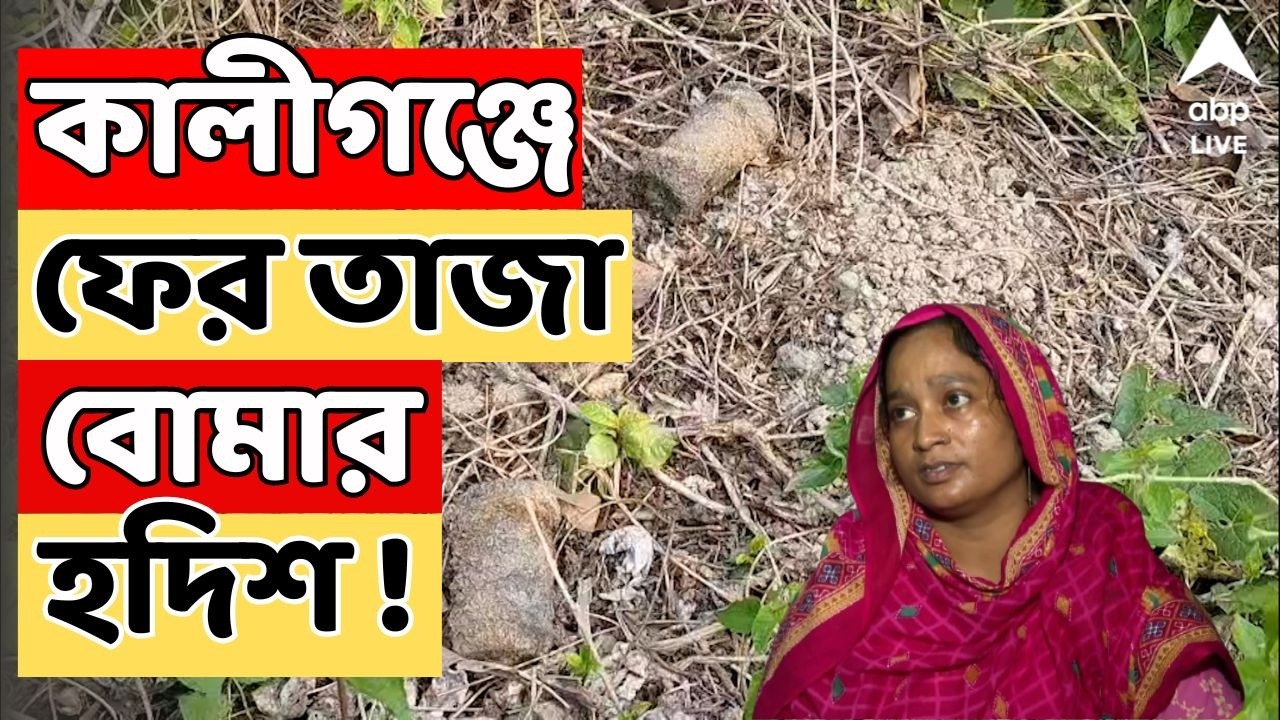 Kaligauj News LIVE | বোমায় তামান্নার মৃত্যুর ১১ মাস। কালীগঞ্জে ফের তাজা বোমার হদিশ ! West Bengal