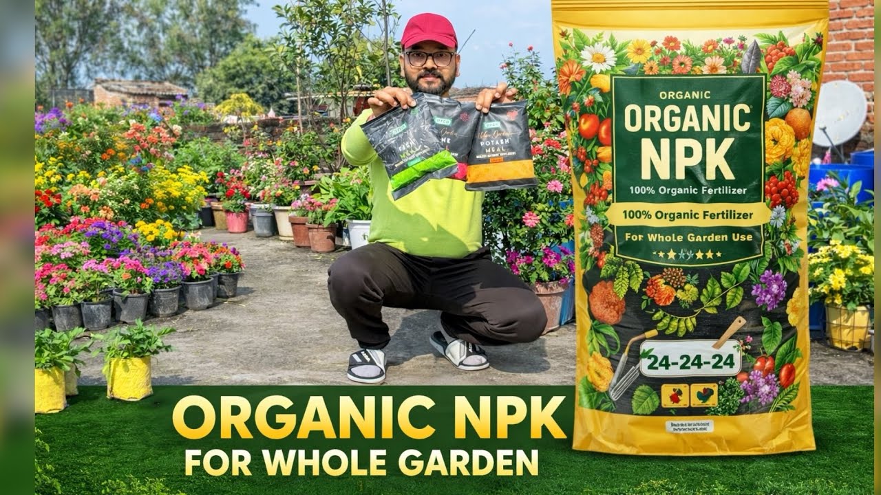 Organic NPK | Complete Garden Nutrition
