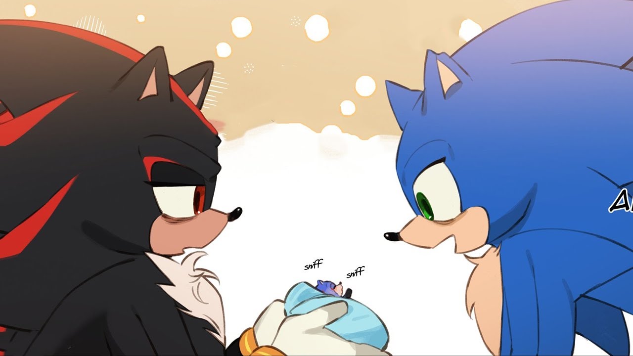 Sonadow - Destiny AU | Sonic Comic Dub | Sky Comic