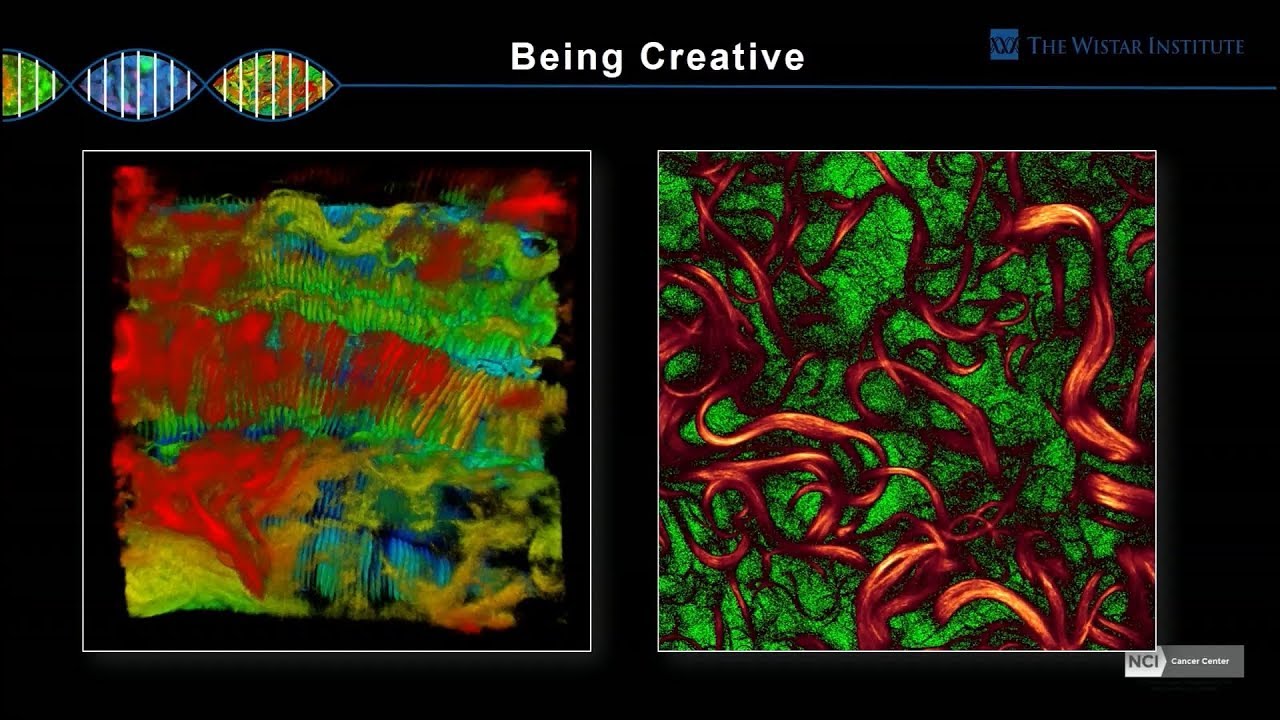Jamie Hayden - 2-Photon Microscopy: How Deep Can You Go? part 2