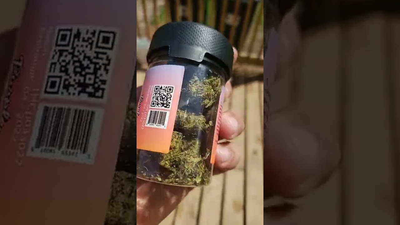 1/8th PURPLE TRAINWRECK!!