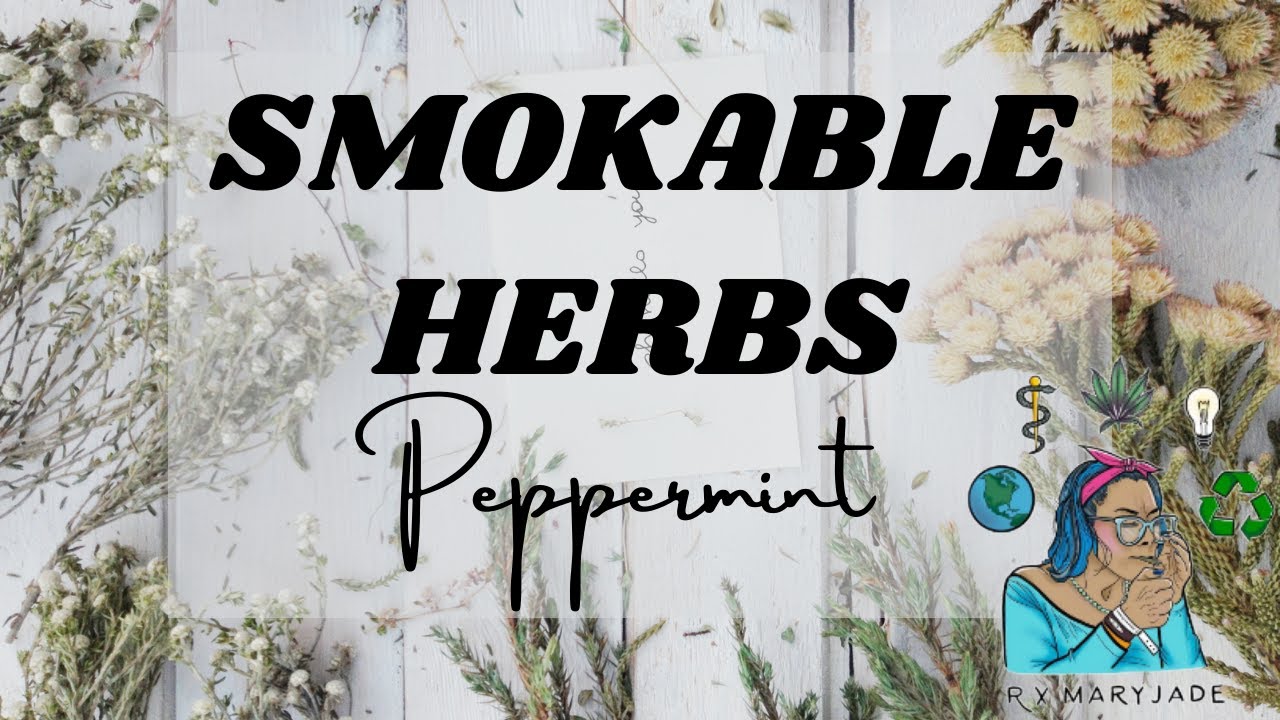How To Smoke Peppermint Taste & Feel || A Beginners Guide To Smokable Herbs || Smoking Peppermint
