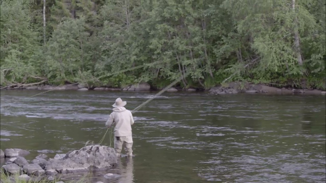Salmon flyfishing in Byske river 2023