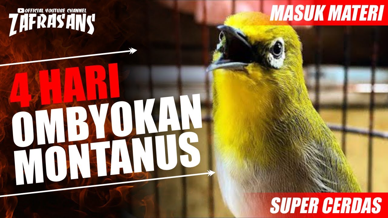 OMBYOKAN BARU 4 HARI UDAH BEGINI..WOOOOOWWWW.!!