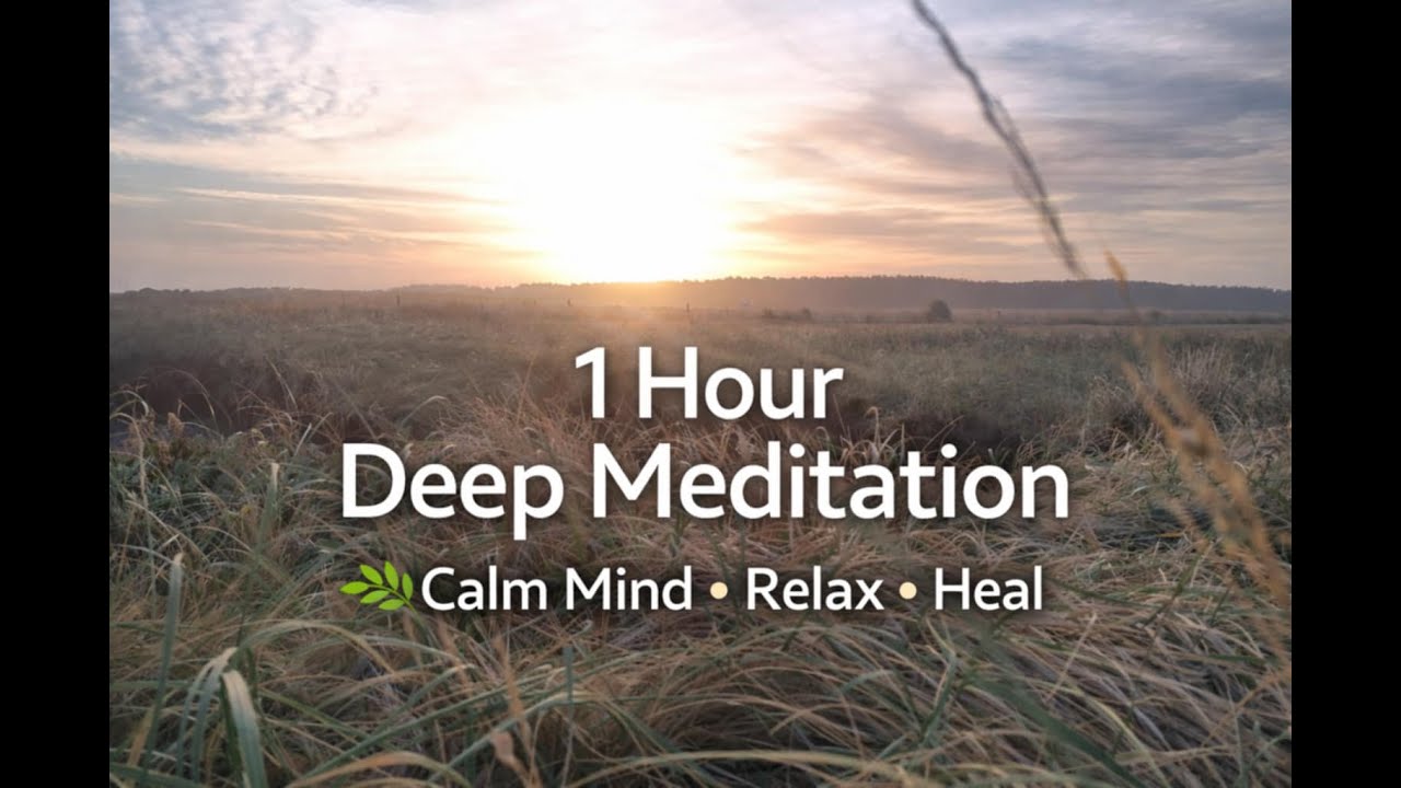 1 Hour Deep Meditation 🌿 Calm Mind • Relax • Heal #meditation #healing #mindfulness