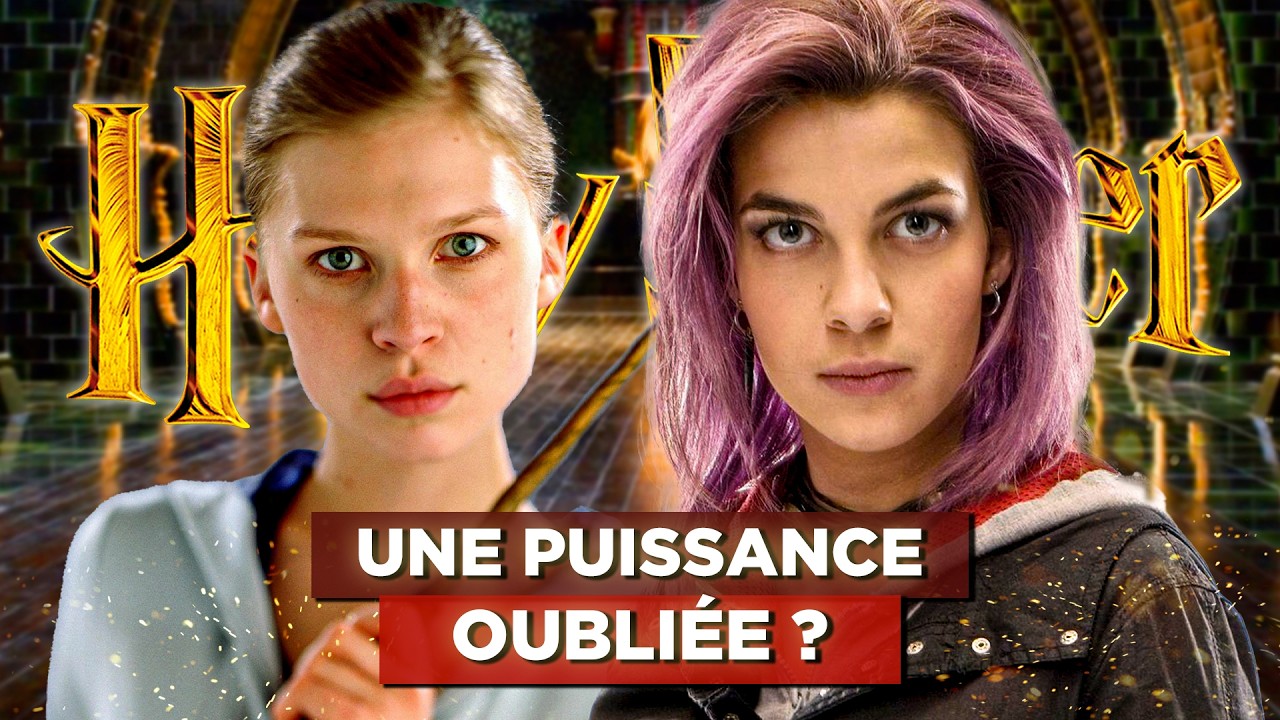 TOP 7 des PERSONNAGES SOUS-EXPLOIT&Eacute;S dans les FILMS HARRY POTTER