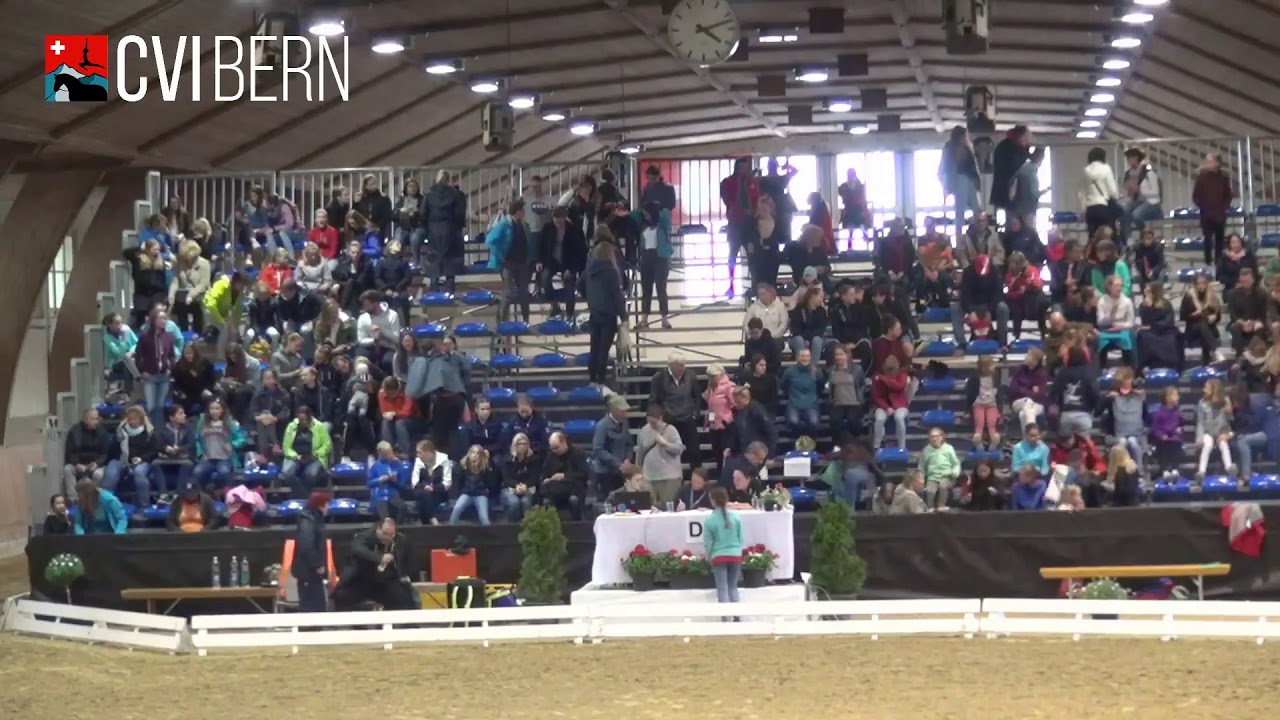 CVI Bern 2019 - Individual Senior CVI3* - Technical Test