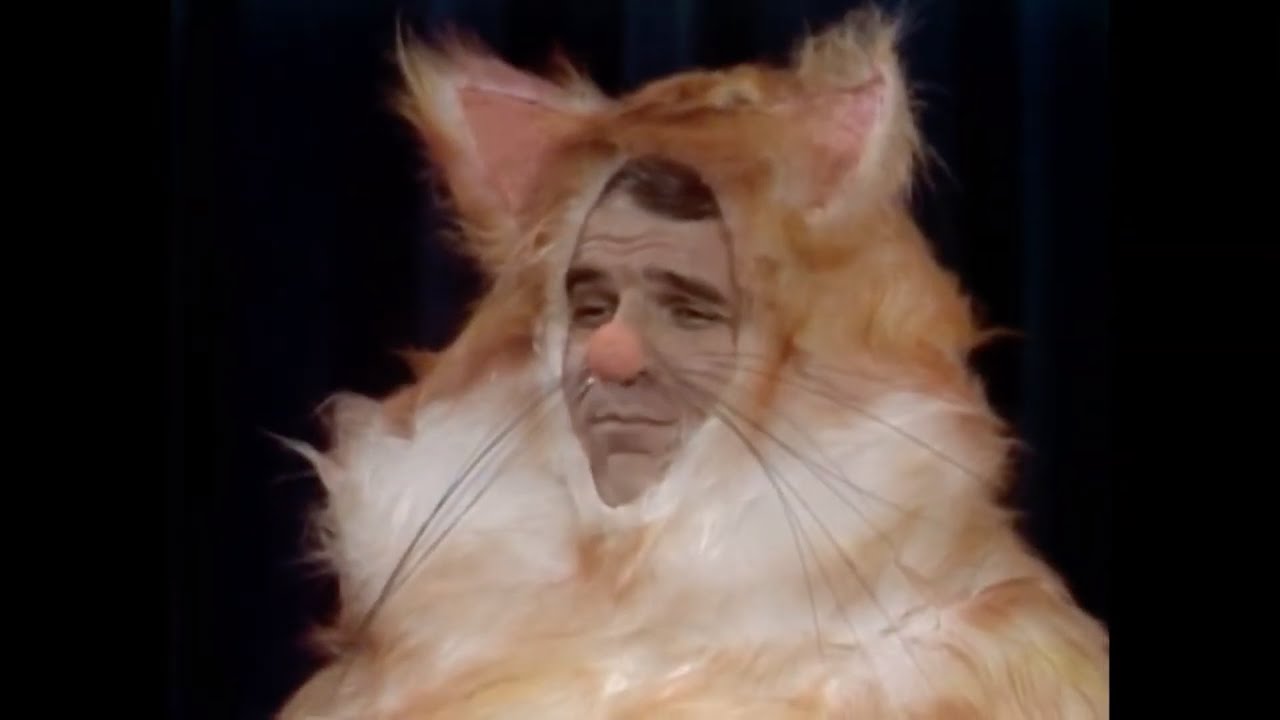 Steve Martin - Morris The Cat (from “All Commercials”)