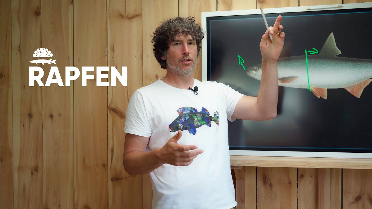 Der RAPFEN im Detail!