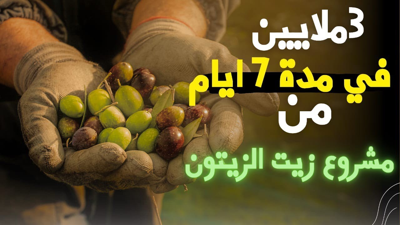 الربح من مشروع للمبتدئين | اربح  3مليون خلال 7 ايام💵 من مشروع🌳 زيت الزيتون  بطريقة سهلة جدا