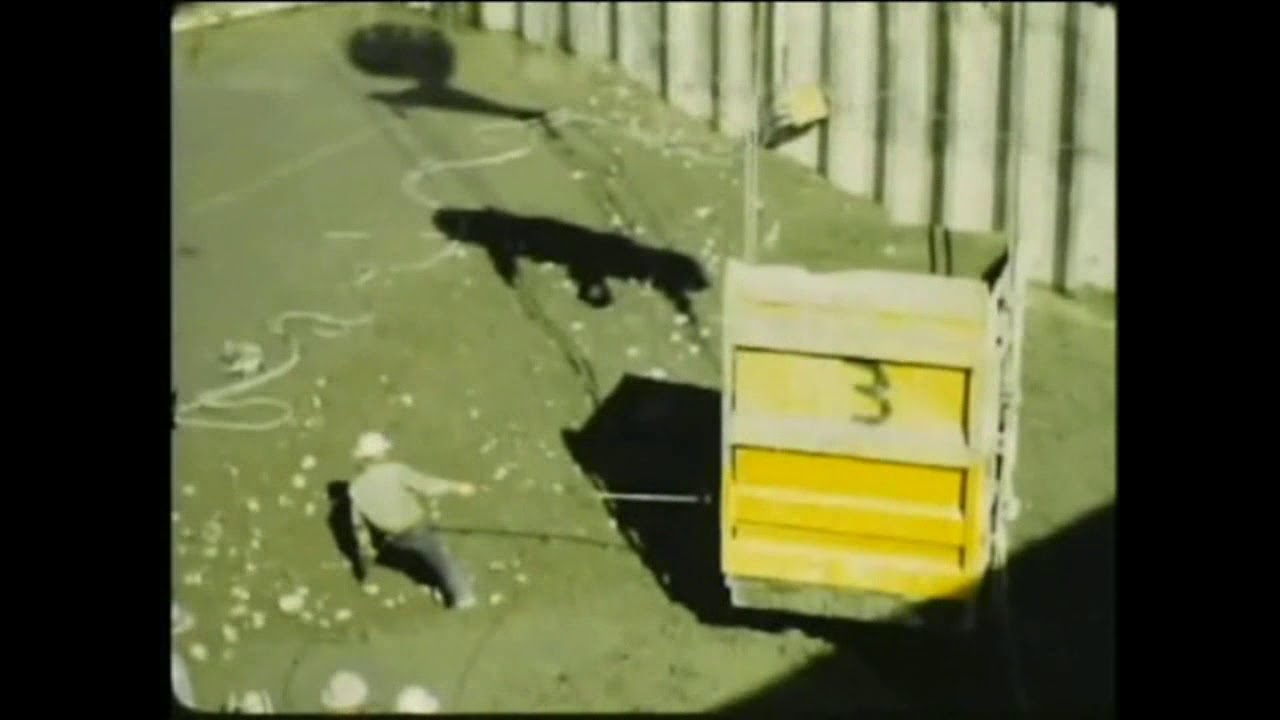 Hungry Horse Dam Construction Movies 1948-54, no audio.  1280x720 HD