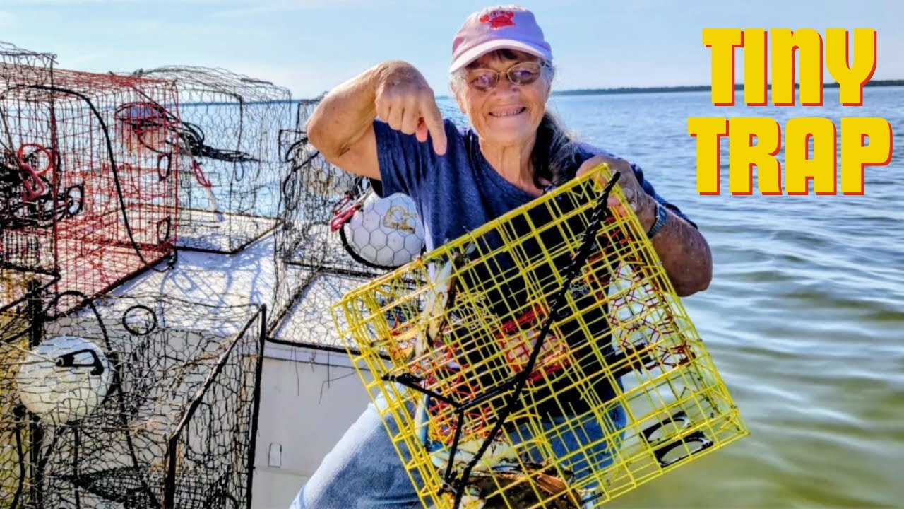 Catching Blue Crabs, and Look what Happened