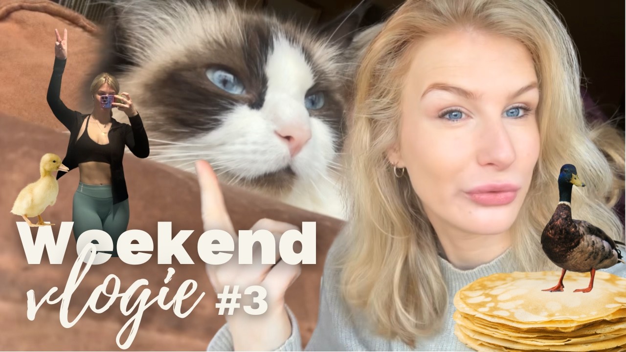 BEESTENBENDE, PANNENKOEKEN EN SPORTEN - Vlog 3
