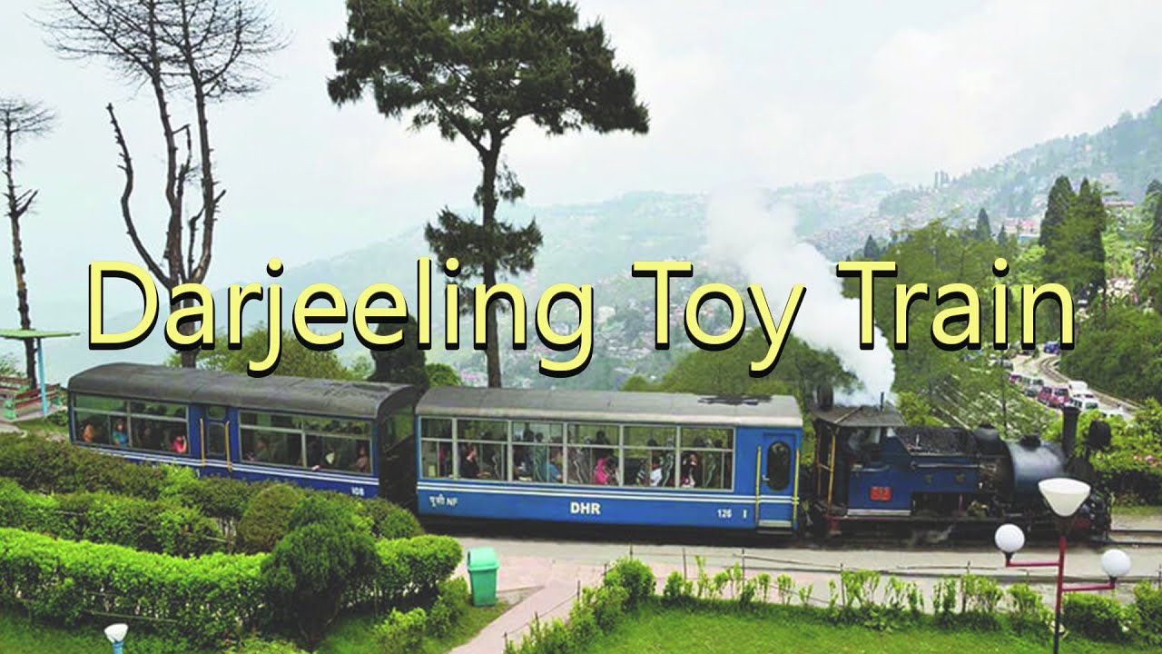 Toy Train Darjeeling