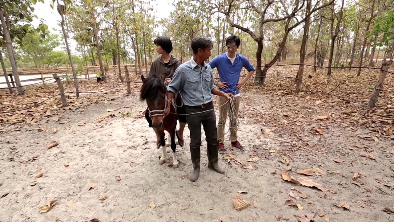 เที่ยวหัวใจใหม่...ไปกับฟิล์ม : EP 10 [ชมรมอนุรักษ์ม้าพันธุ์พื้นบ้าน จ.อุบลราชธานี]