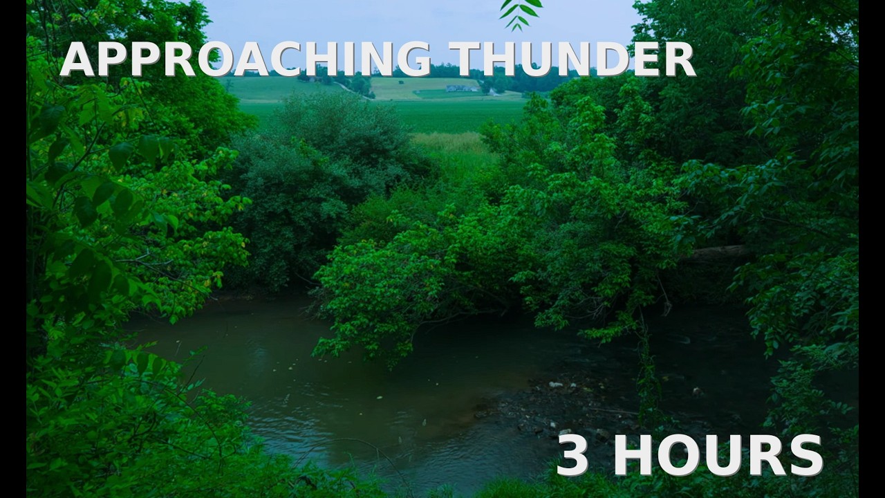 Distant Thunder Approaching Over a Creek 🌩 3 Hours of Storm Ambience (No Rain)