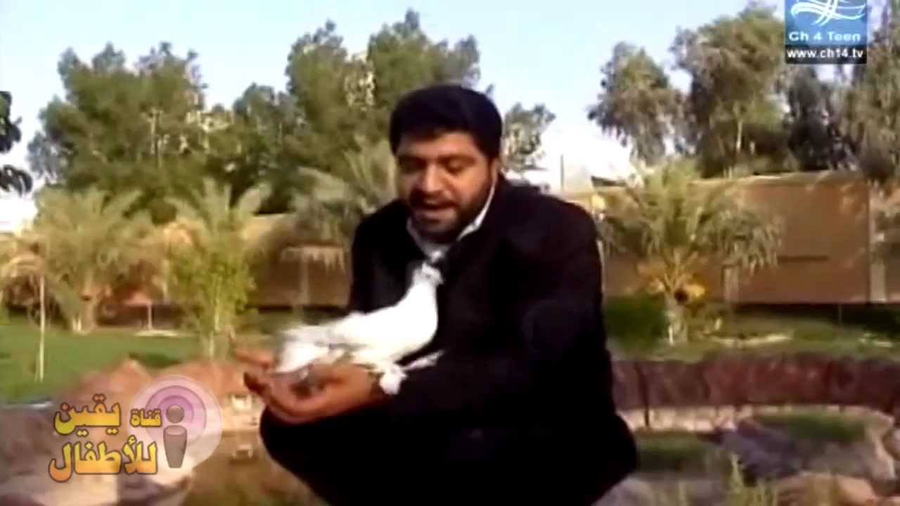[HD] فوزي الدرازي : أنشودة .. حمامة نودي