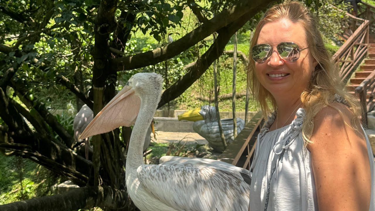 Parque das Aves KL Malásia, 1 de março 2026