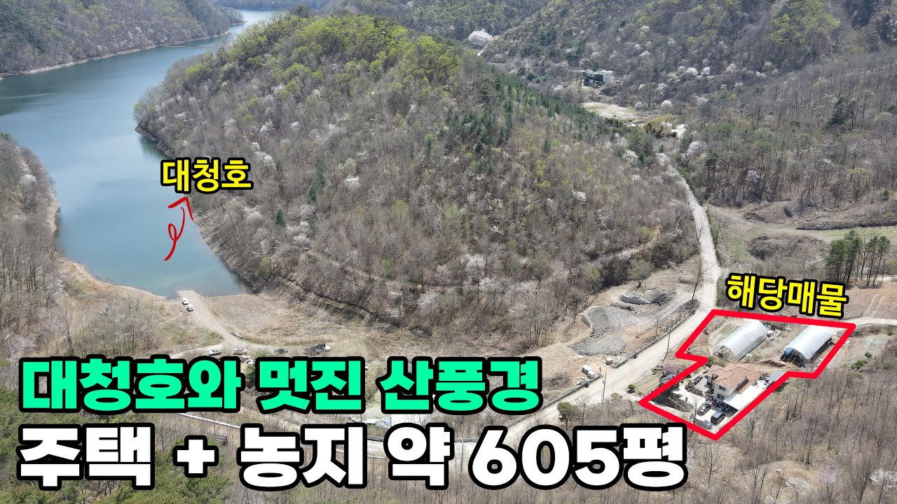 (176)충북 옥천군 대청호 전원주택 매매 수려한 자연환경 활용하기 좋은 넉넉한 농지 포함 별장 및 실거주 추천 토지 806평 건물 45평 옥천부동산 문소장
