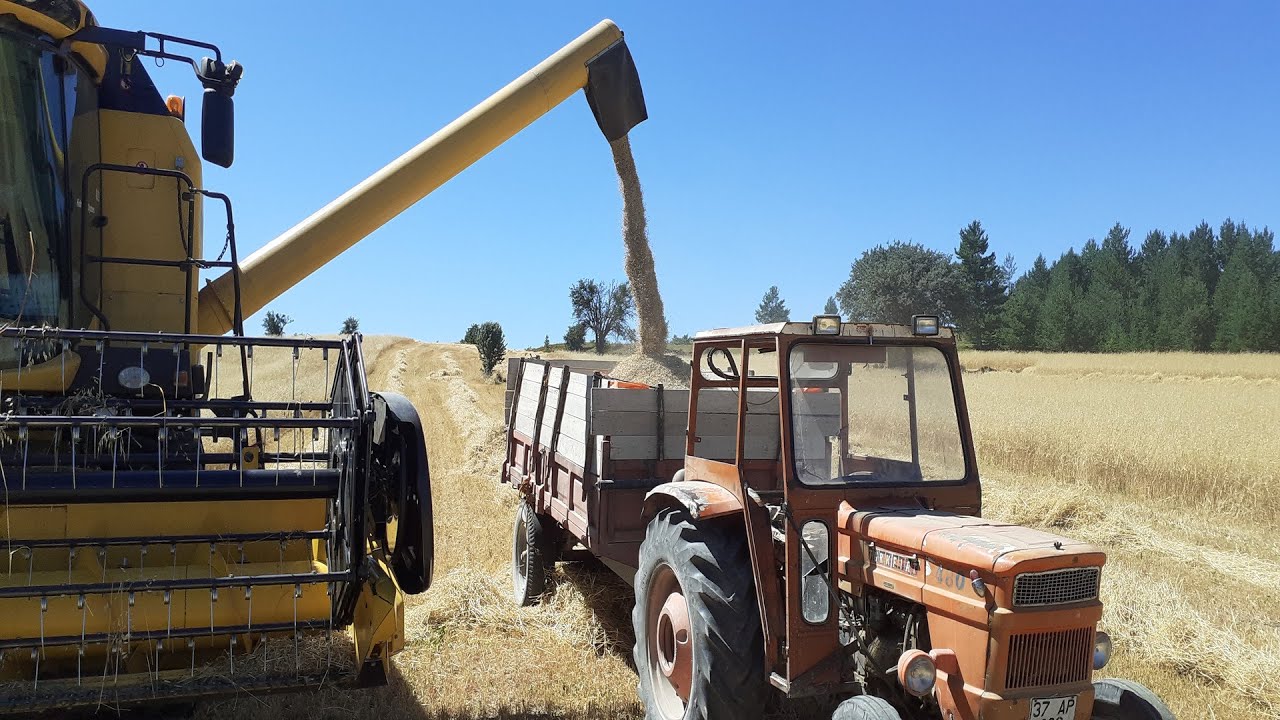 2020 Hasat Sezonundan Vlog New Holland TC 5.80