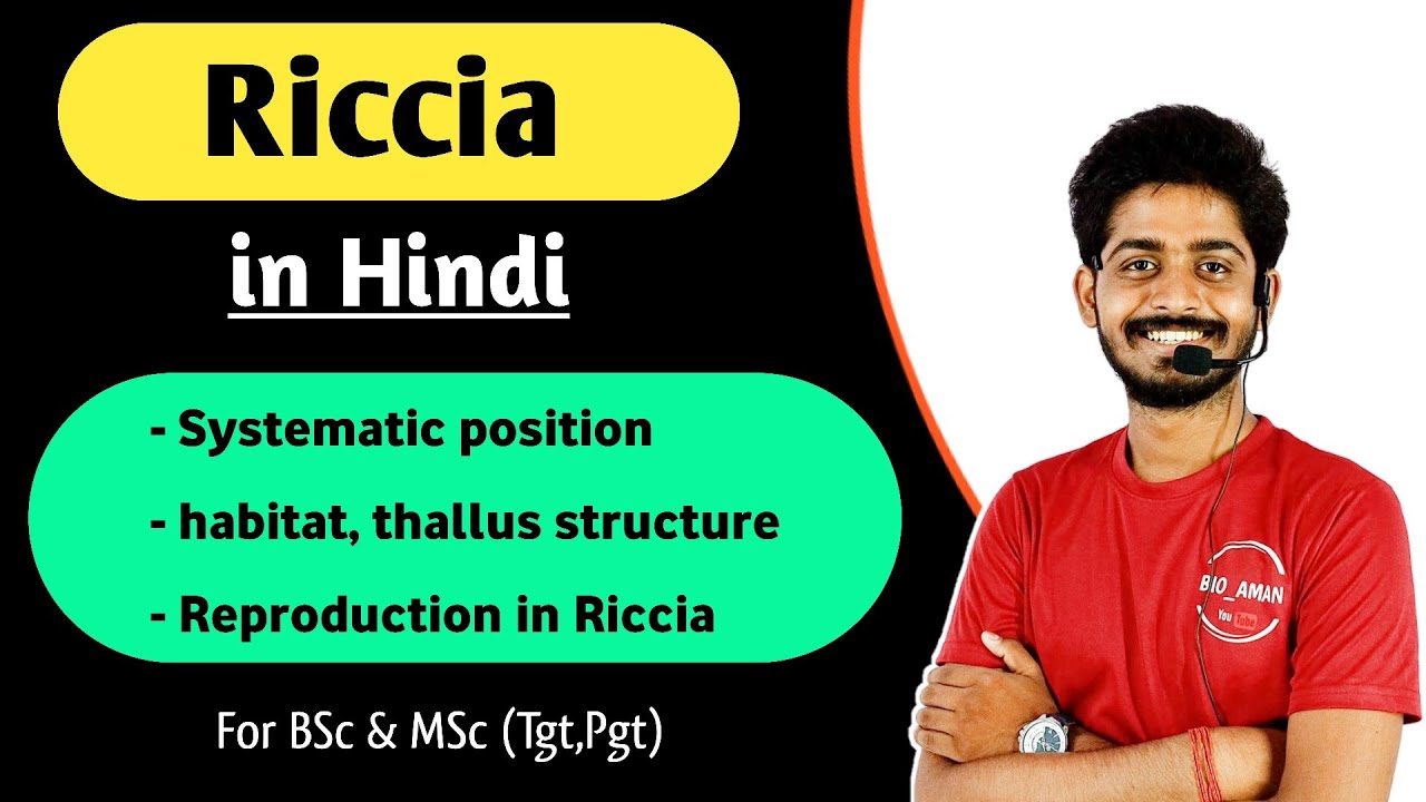 Riccia in Hindi | Riccia Systematic position, habitat, thallus structure and Reproduction in Riccia