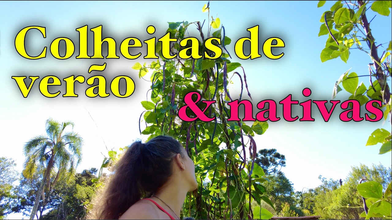 Colheita & Nativas
