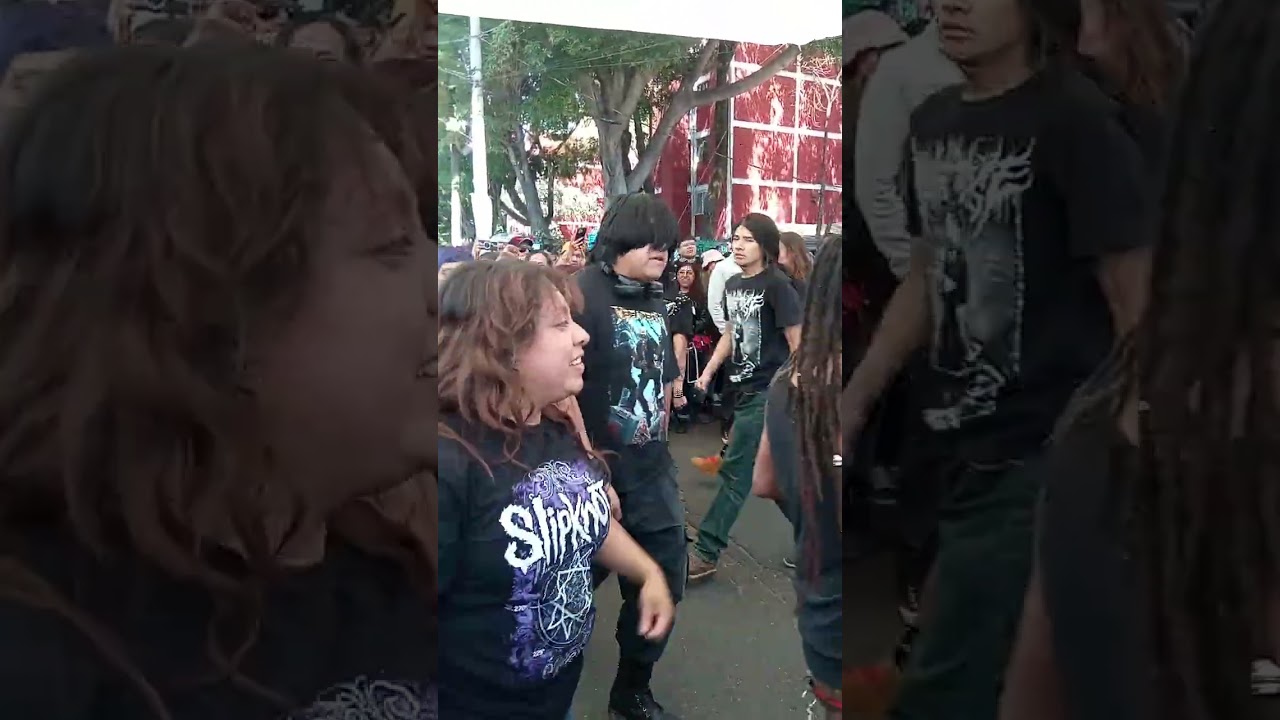 Lengua De Suegra en él Chopo (210226)